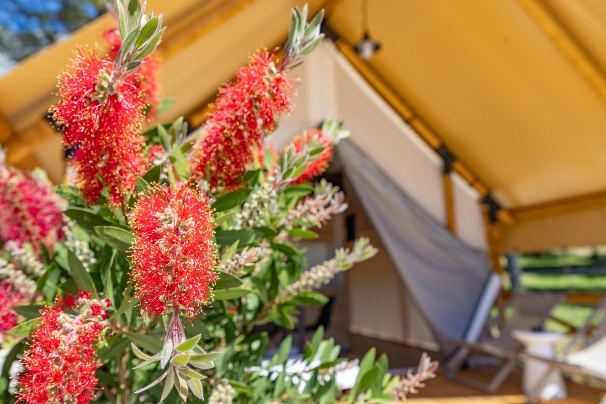 Camp Dole Zivogosce - Mobile Home And Glamping Tent Zewnętrze zdjęcie